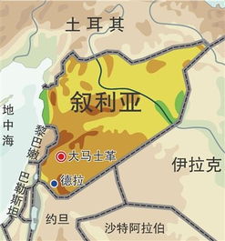 敘利亞局勢迅速變化的原因解析