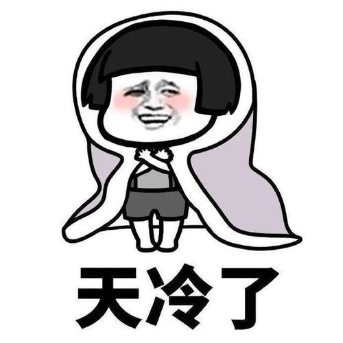 冷冷冷冷冷！迎接冷上加冷模式的到來