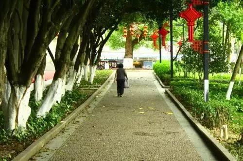9.9元一日游背后的真相，50多位老人被扔路邊