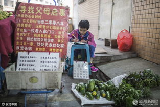 遠(yuǎn)渡重洋，母女情深——女子遠(yuǎn)嫁日本失聯(lián)，老母賣菜攢路費(fèi)的故事