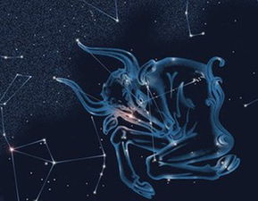 金牛座今日運(yùn)勢(shì)座星座