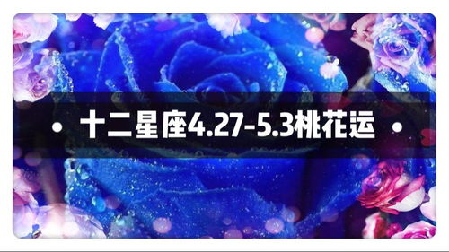 十二星座今日桃花運(yùn)勢
