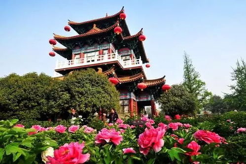河南洛陽(yáng)牡丹廣場(chǎng)血案疑云，真相待解