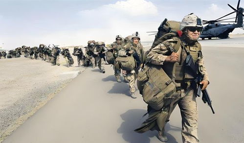 專家評述，朝軍橫掃烏軍，展現(xiàn)驚人實力令俄大開眼界