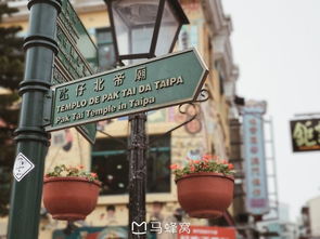 我在澳門養(yǎng)國寶
