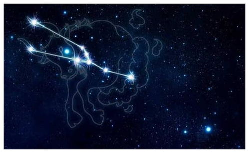 金牛座的運(yùn)勢(shì)今日星座