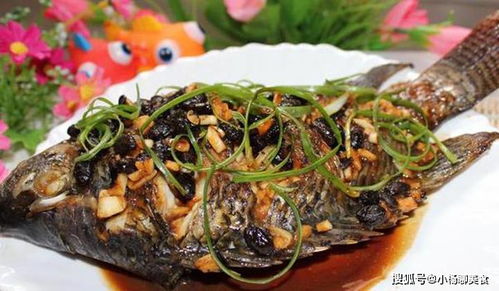 財神魚死亡，男子含淚吃下燒油