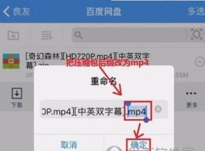 蘋果百度網(wǎng)盤怎么解壓