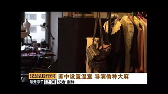 法國男子邀50人性侵妻子被判20年，一起震驚世界的性犯罪案件