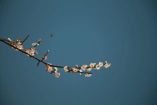 毛不易冬至送廣州一場(chǎng)雪