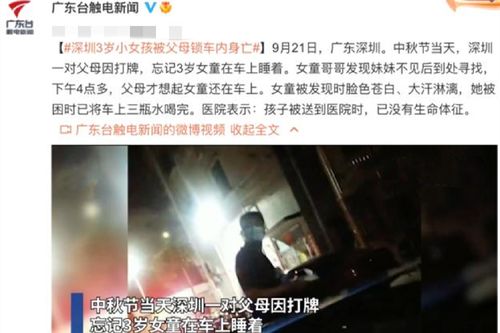 金條失蹤之謎，娃的無心之失與母親的千般確認