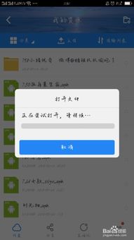 百度網(wǎng)盤(pán)怎么用美化包