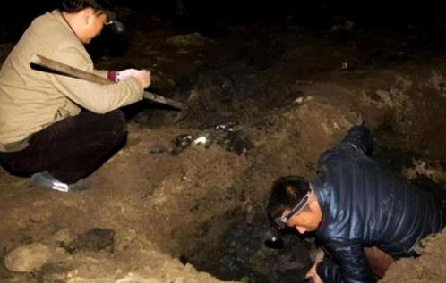 埃及兩男子從海底偷數(shù)百件文物被捕