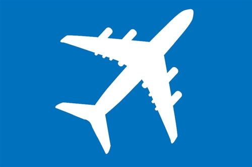 客機墜毀25歲空姐掩面痛哭