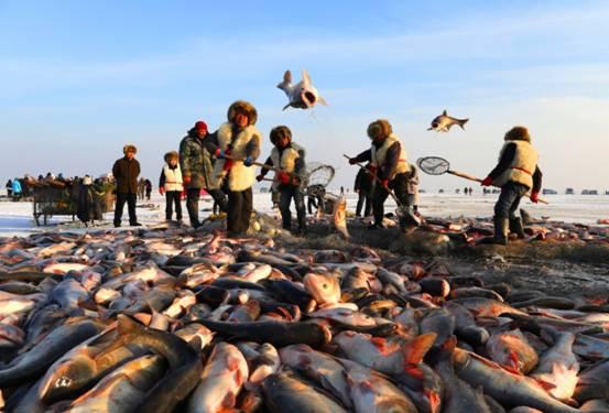 吉林查干湖頭魚拍賣出驚人高價