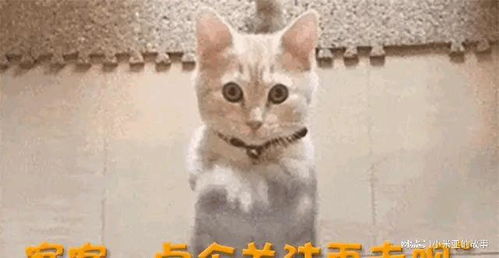 郭富城演唱會跌落舞臺巨響