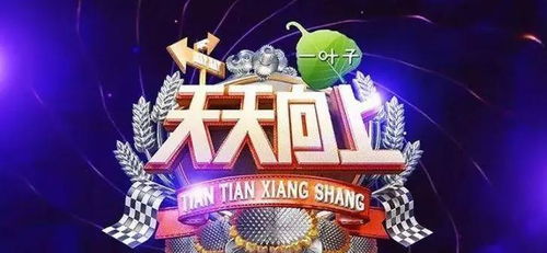 湖南衛(wèi)視廣告插播節(jié)目，湖南衛(wèi)視的魅力與影響力