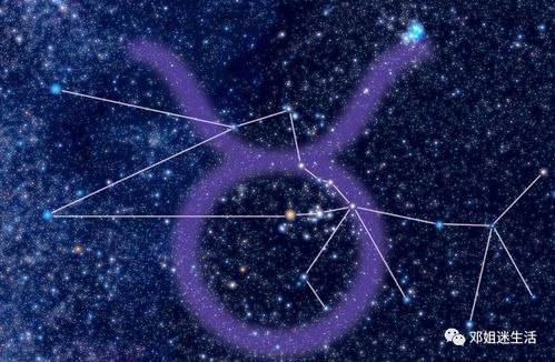 星座運(yùn)勢金牛今日