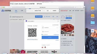 百度網(wǎng)盤(pán)怎么看種子
