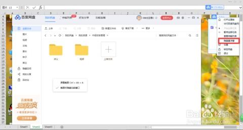 百度網(wǎng)盤(pán)怎么用ins