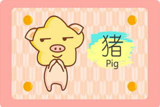 屬豬今日運(yùn)勢(shì)星座