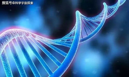 DNA樣本揭示24年前命案