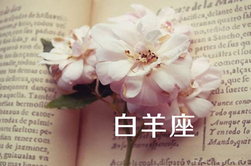 鬼魅星座今日運(yùn)勢