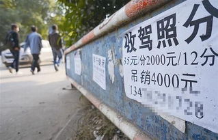 湖南看廣告賺錢