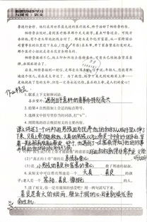 語(yǔ)文與數(shù)學(xué)的糾葛，探究是語(yǔ)文出了軌還是數(shù)學(xué)劈了腿
