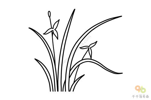 草叢怎么畫 百度網(wǎng)盤