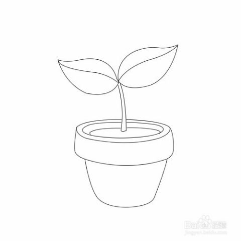 草叢怎么畫 百度網(wǎng)盤