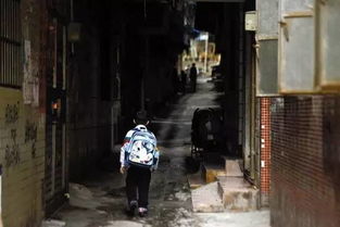 女生凌晨摸黑走山路 好心人捎回城的故事