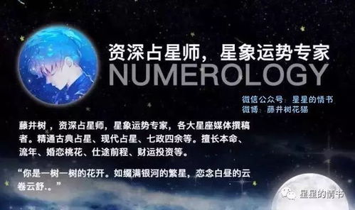 拍下今日星座運(yùn)勢(shì)