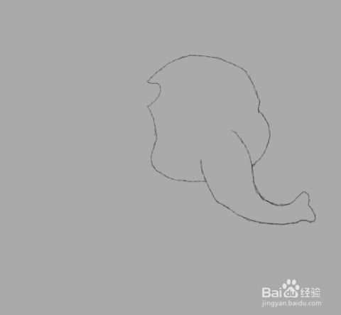 河豚怎么畫 百度網(wǎng)盤