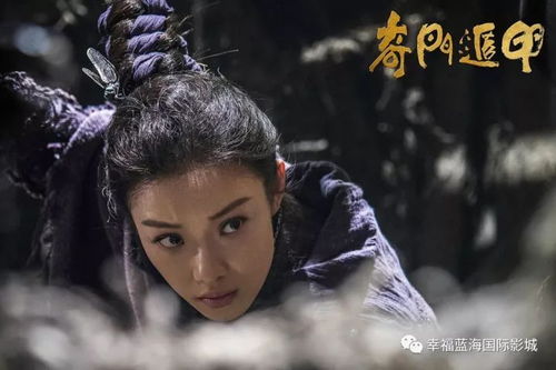 全員開打！射雕靖蓉箏大戰(zhàn)一觸即發(fā)