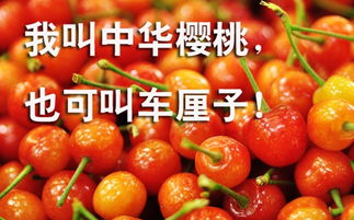 終于把車?yán)遄雍蜋烟腋忝靼琢? title=