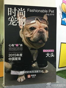 看廣告賺錢封面