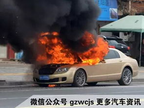 汽車自燃賠多少
