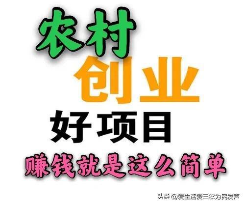 長(zhǎng)久賺錢的項(xiàng)目叫什么