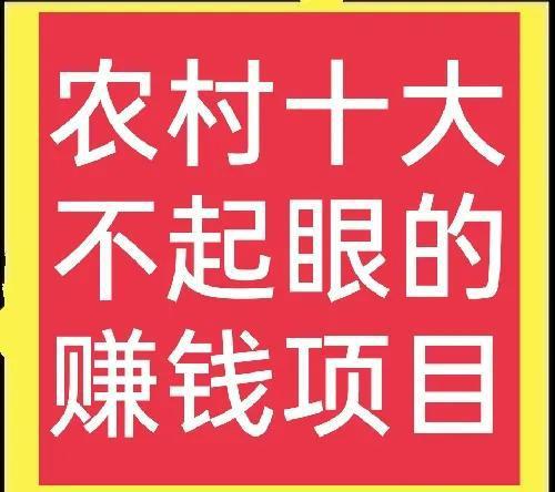 什么項(xiàng)目賺錢不累