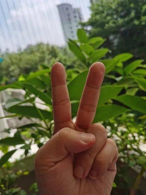 楊子說與黃圣依領(lǐng)過證