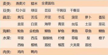 游戲攻略怎么減肥食譜