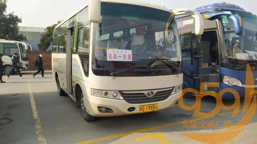 安康到嵐皋汽車多少錢
