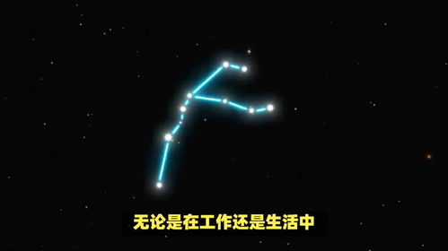 8.30什么星座