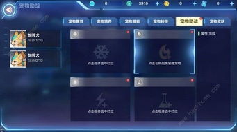 怎么設(shè)置游戲攻略欄位顯示