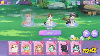 游戲攻略山羊和貓怎么玩