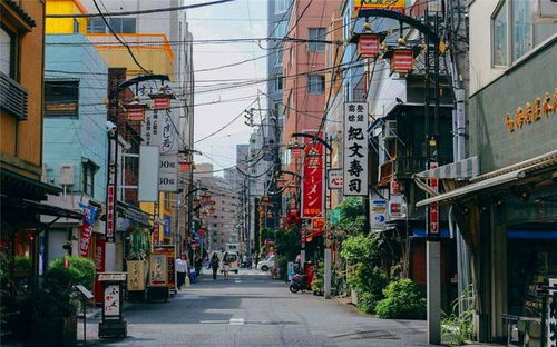 中國(guó)年輕人撿漏日本低價(jià)中古屋的趨勢(shì)與影響
