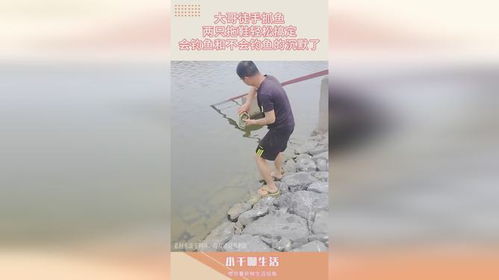 會釣魚與不會釣魚的世界沉默了