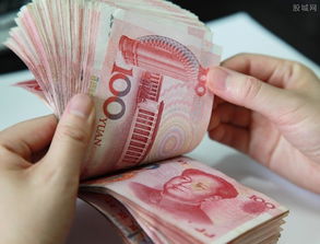 中年做什么項目好賺錢快