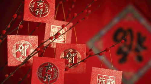 過年擺什么娛樂項(xiàng)目賺錢